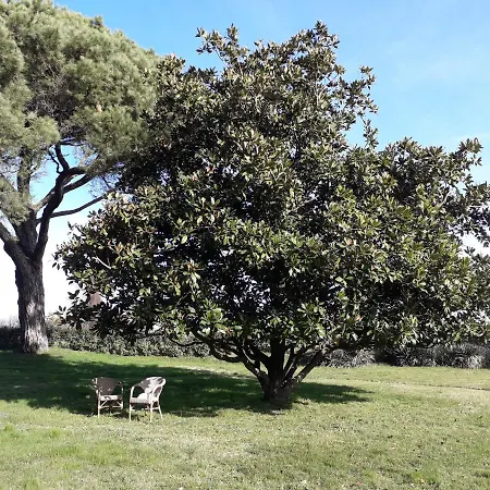 Hotel Antico Borgo Di Sutri