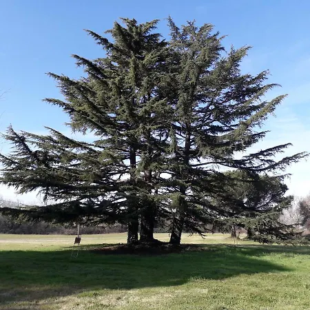 Antico Borgo Di 4* Sutri